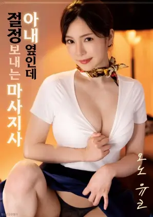 修复重映片入库记录配图